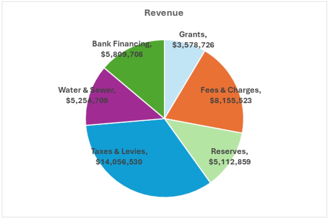 Graph showing revenues