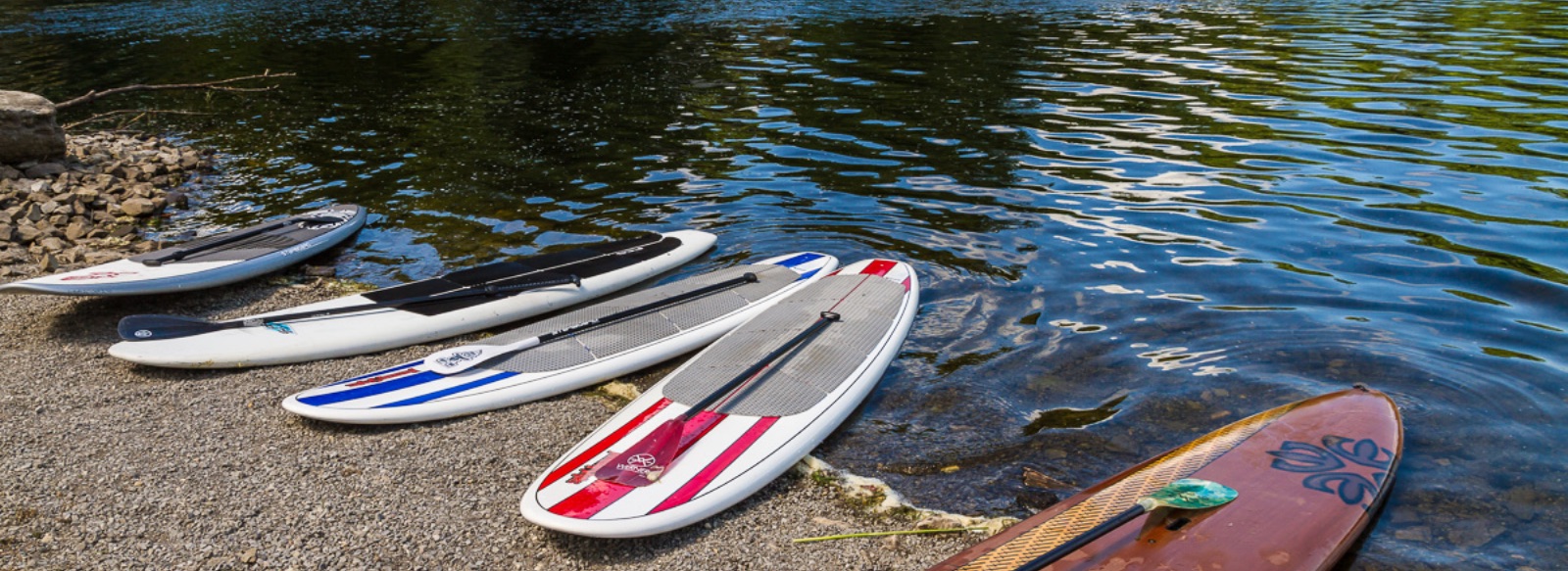 Paddleboards sitting on the shore of a lake