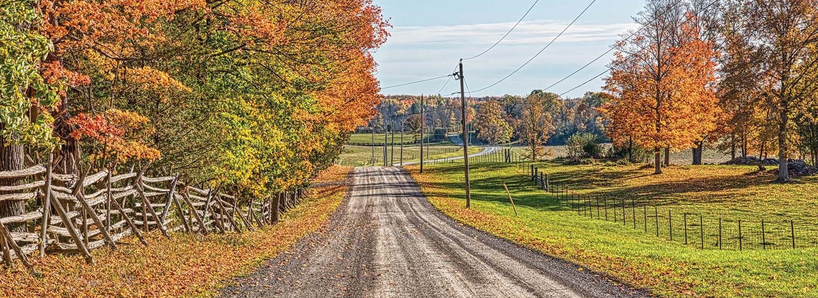 Fall Road, Credit John McQuarrie