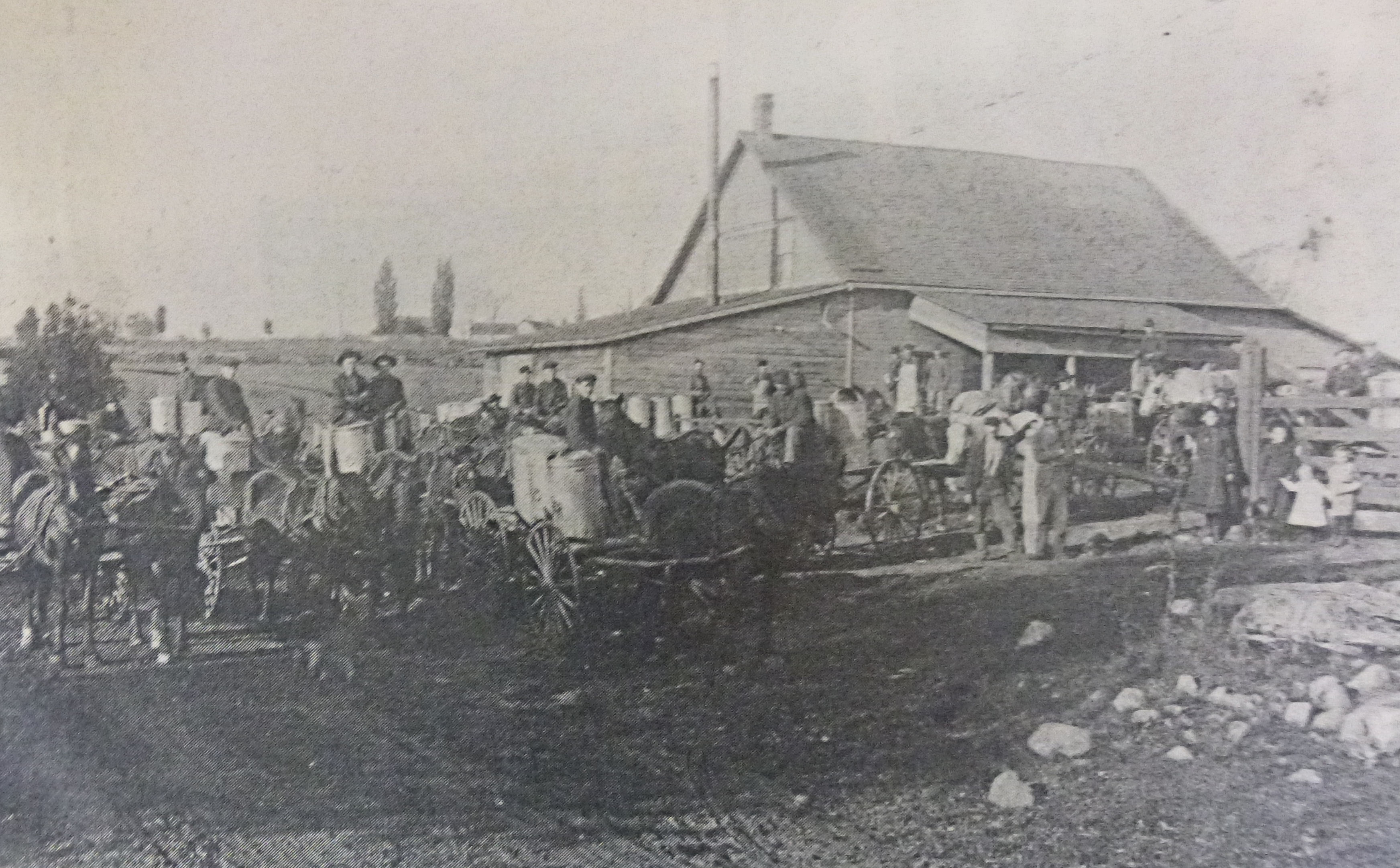Picture of Union Hall Cheese Factory