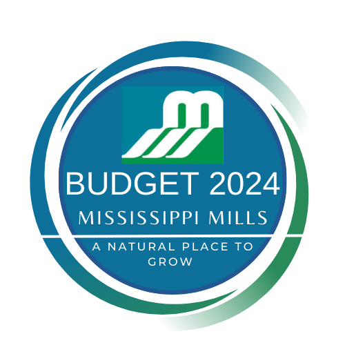 Blue and green graphic with the text 'Budget 2024'