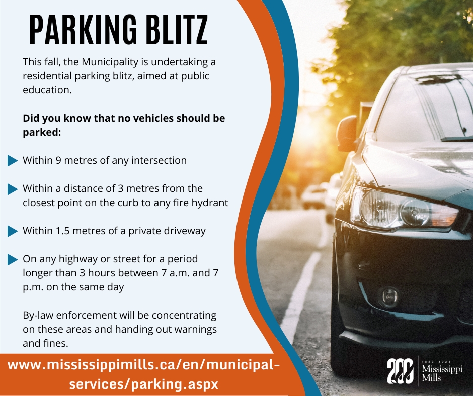 White, orange and blue graphic with black text reading 'Parking Blitz'