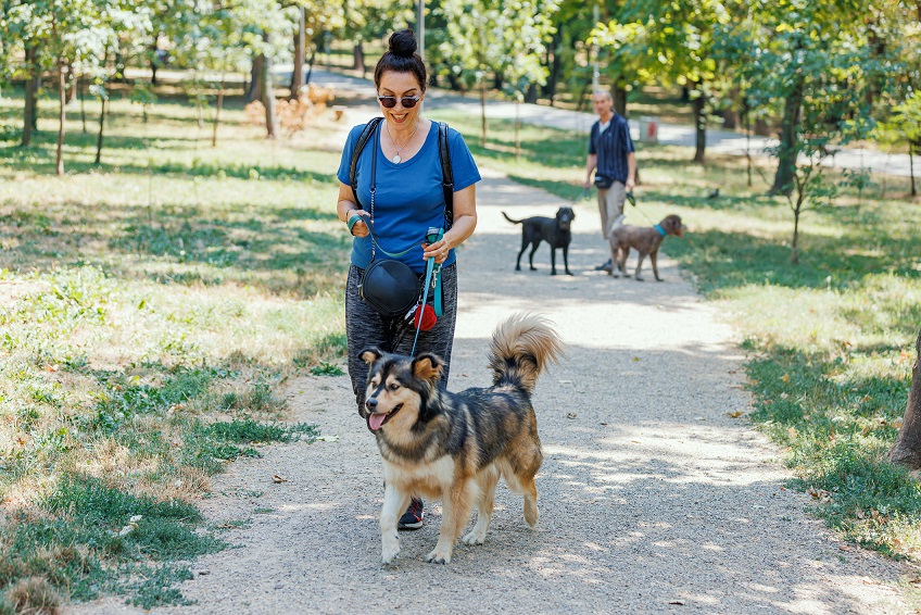 Woman walking dog on a sunny day in a park