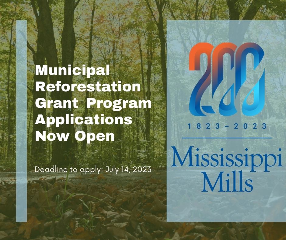 Municipal Reforestation Grant Program graphic