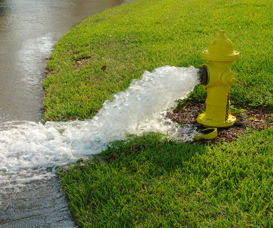 Yellow fire hydrant sprays water onto green grass and roadway