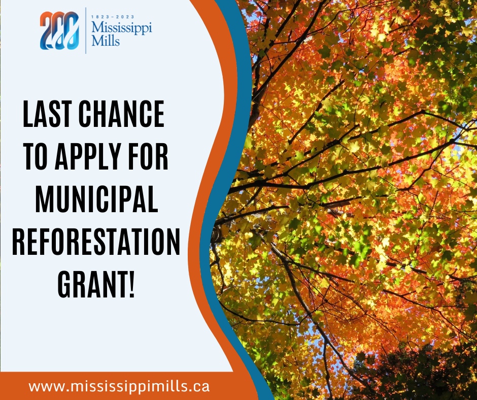 Orange and blue graphic with photo of maple tree in fall and black wording stating 'Last chance to apply for municipal reforestation grant'