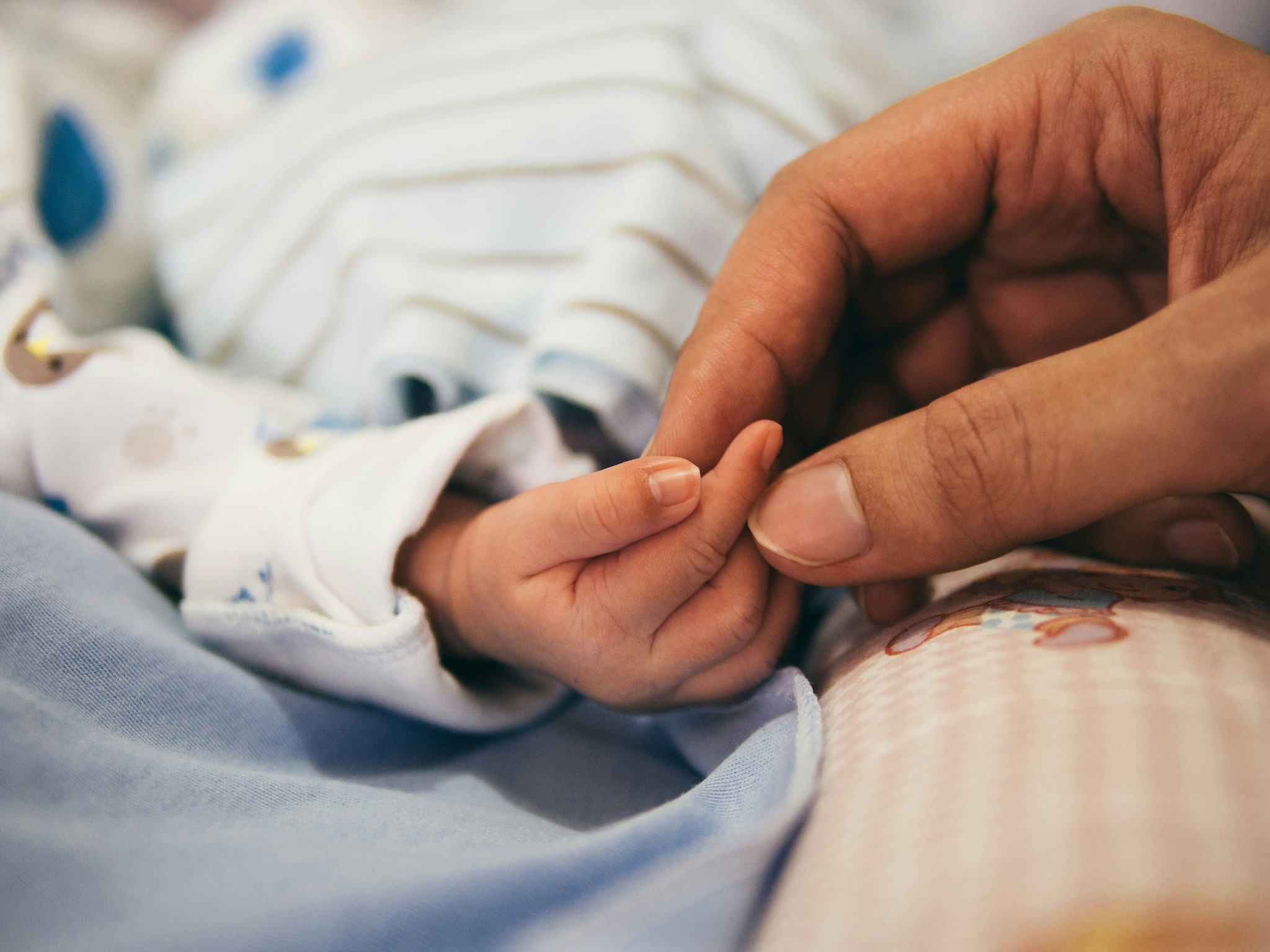 Close up photo of parent holding baby's hand