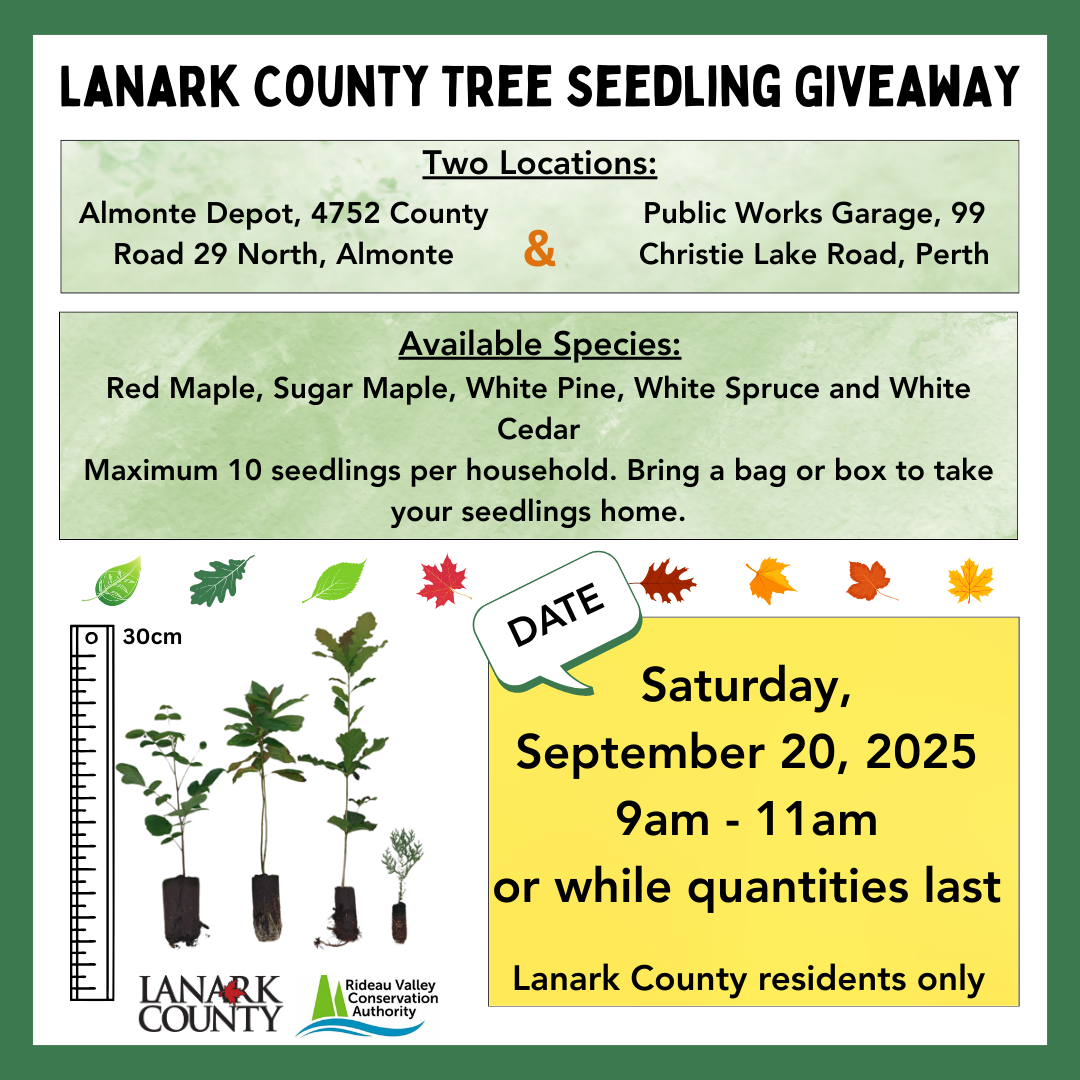Lanark county tree seedling giveaway poster with information from text below