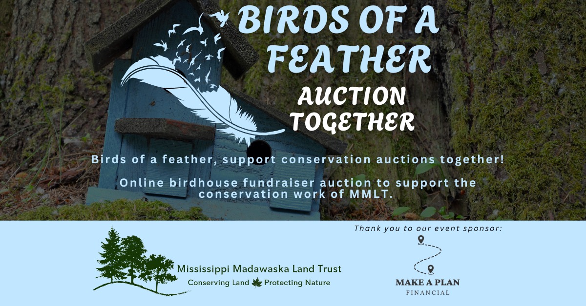 Graphic promoting Mississippi Madawaska Land Trust Birds of a Feather Auction Together fundraiser