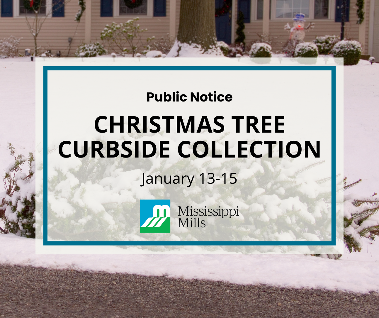 Photo of Christmas tree at curbside of a residence, covered in snow. Text reads 'Christmas Tree Curbside Collection - January 13-15, 2025'