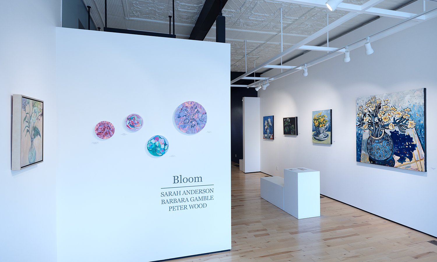 Photo of artwork on white walls in a gallery space