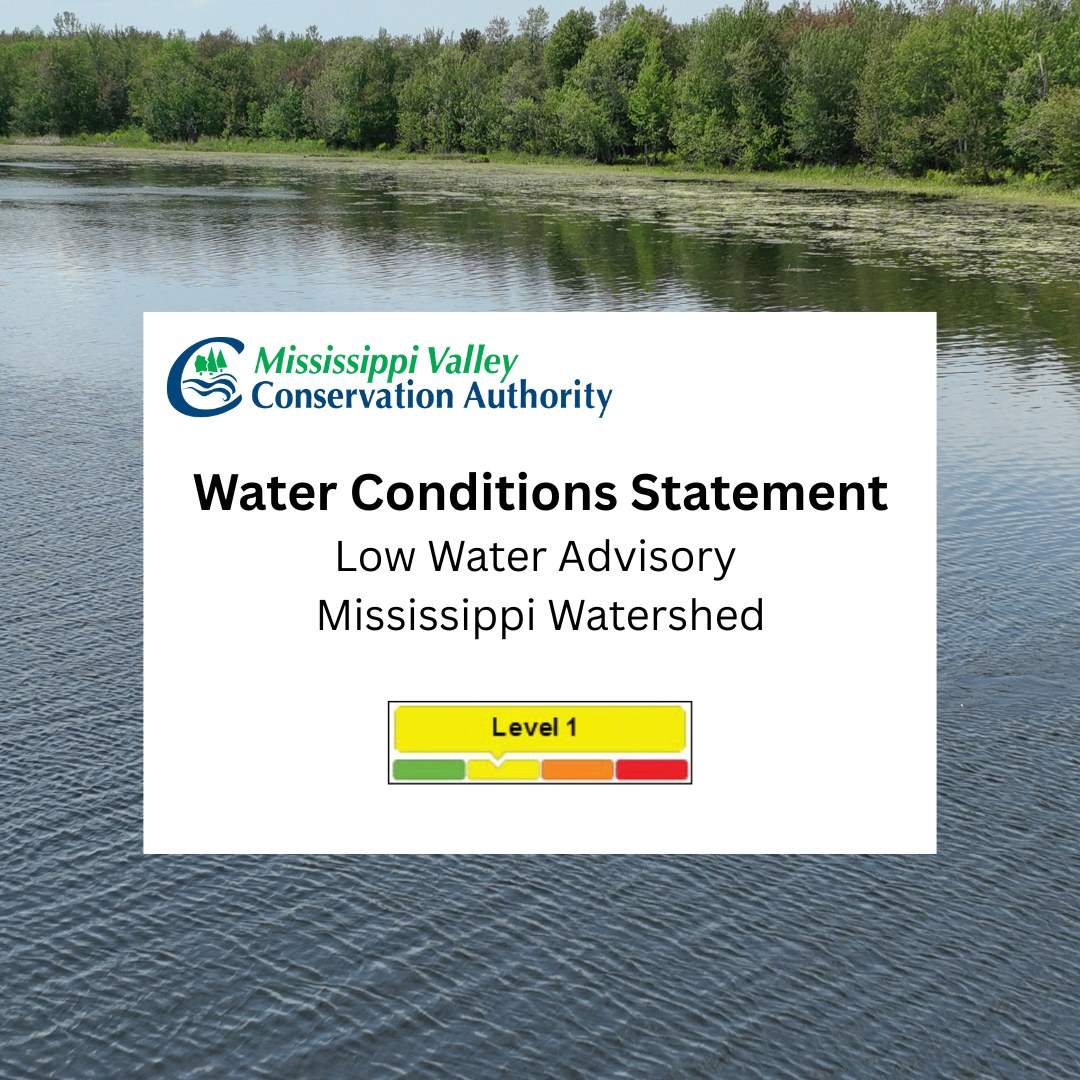 Photo of a lake with green trees in the background and the text 'Water Conditions Statement'