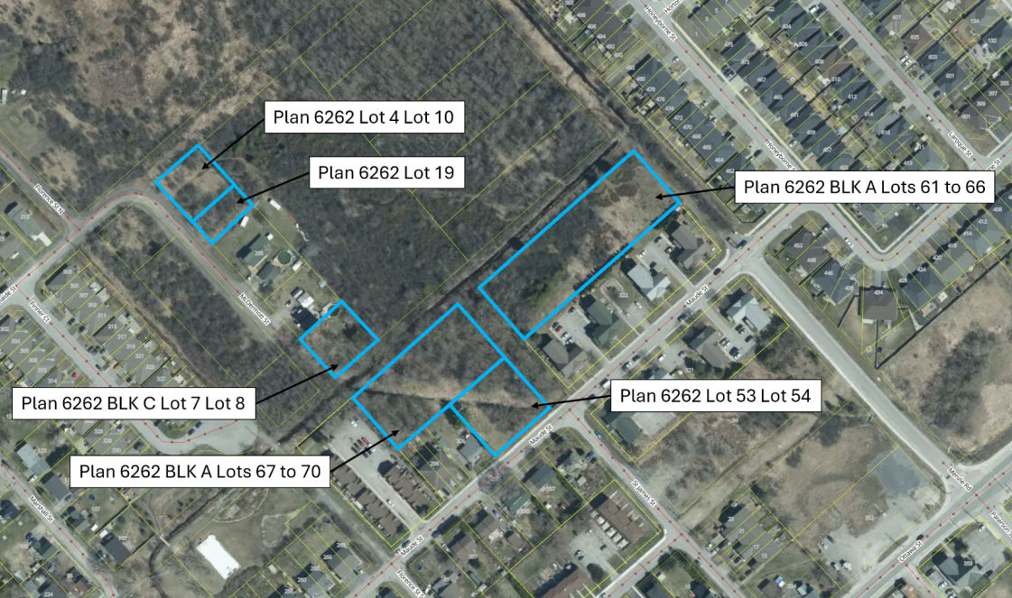Satellite image showing lots within Mississippi Mills