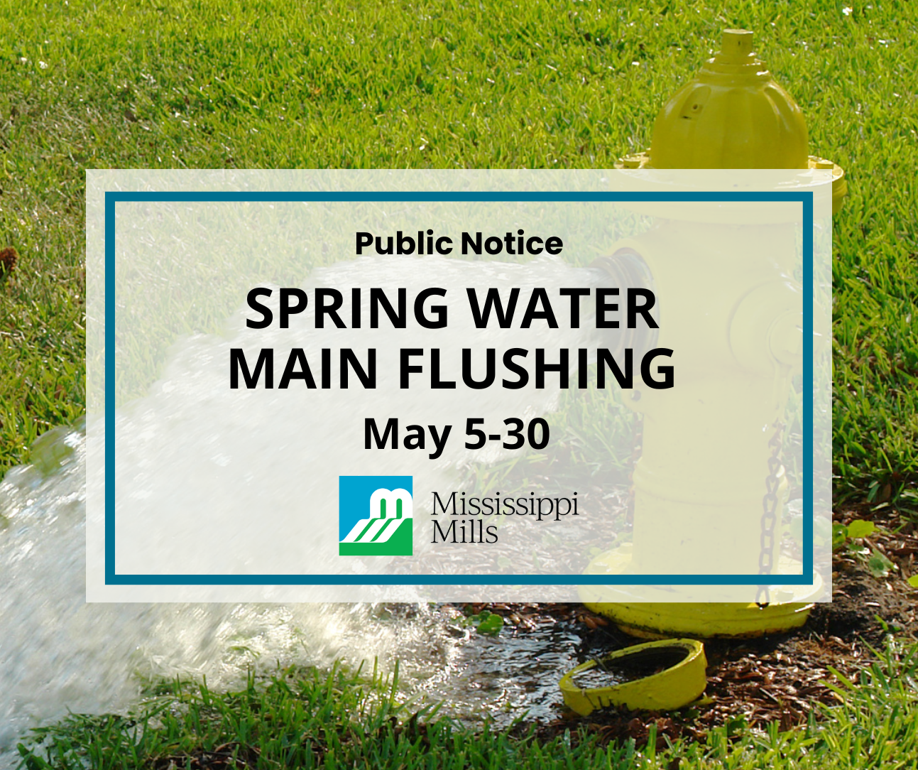 Graphic featuring photo of yellow hydrant with water shooting from it and the text 'Public Notice - Spring Water Main Flushing May 5-30'
