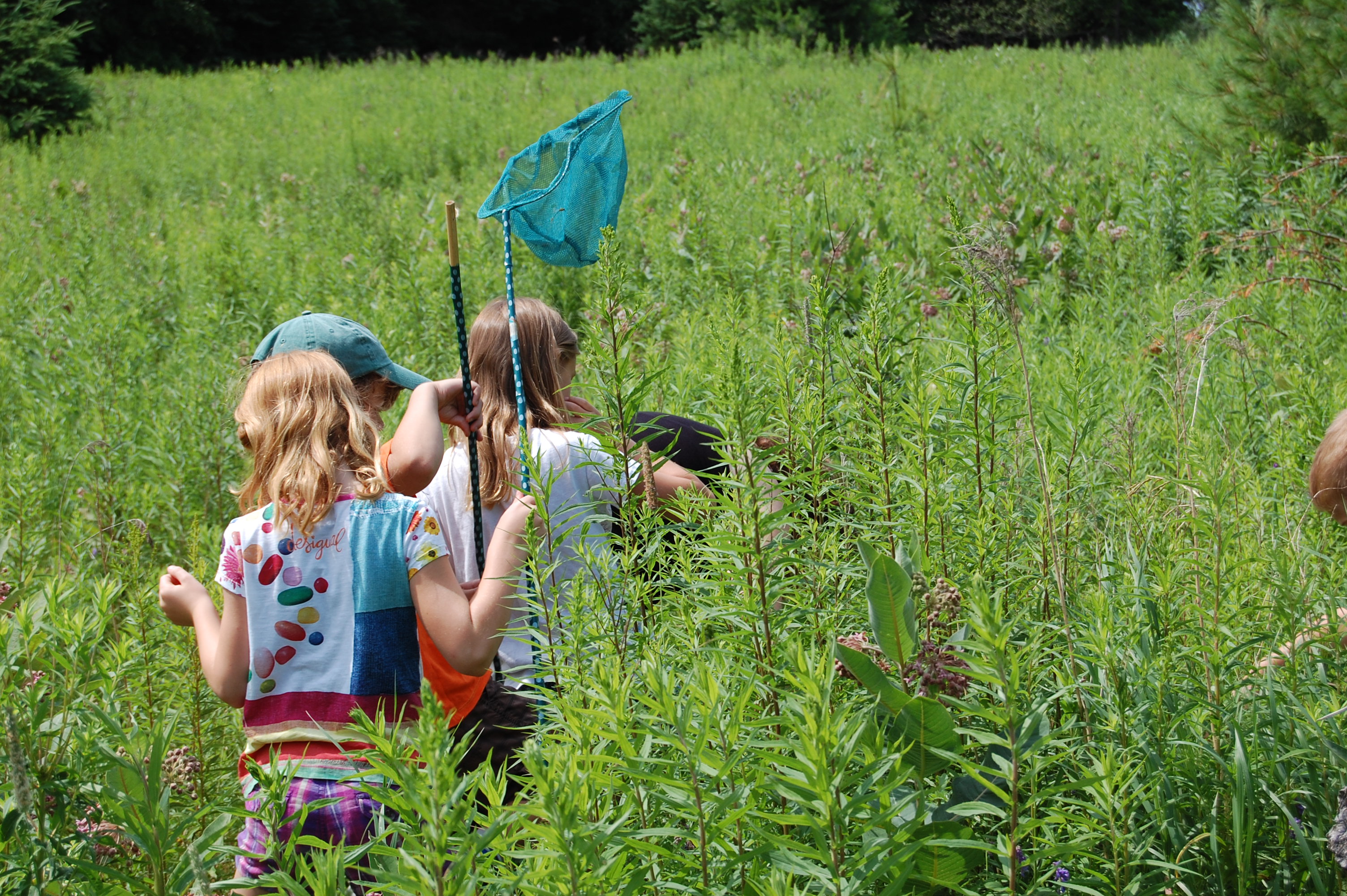 Kids walk through field of long grass holding nets