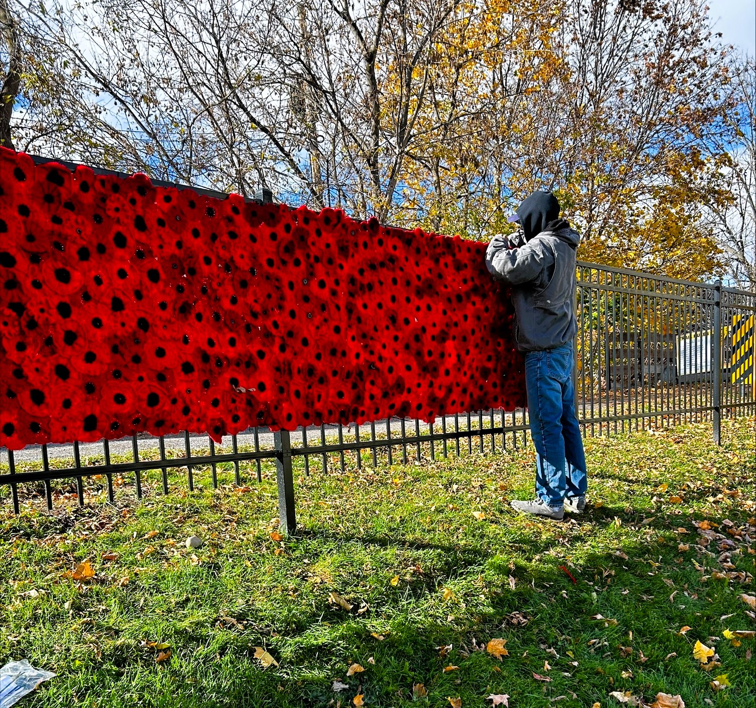 Person fastening a poppy installation to a fence