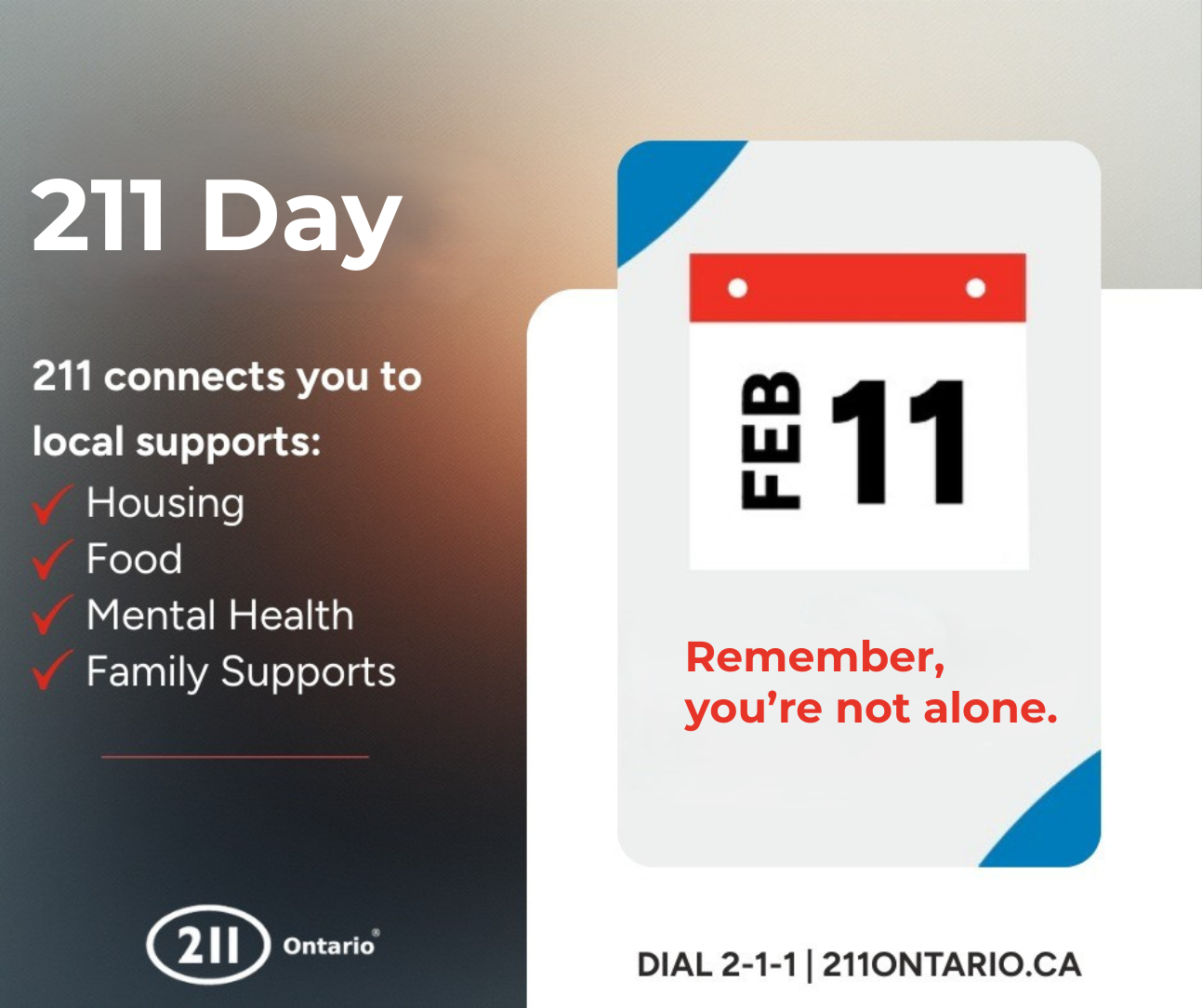 Graphic promoting February 11 as 211 Day