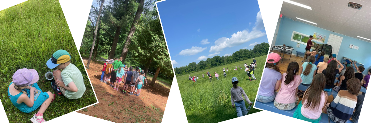 Collage of four photos of youth participating in outdoor education programs offered by the Mississippi Valley Conservation Authority