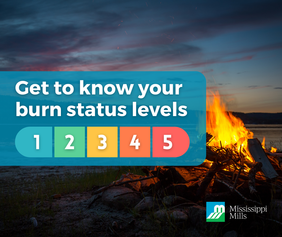 Text reads: Get to know your burn status levels