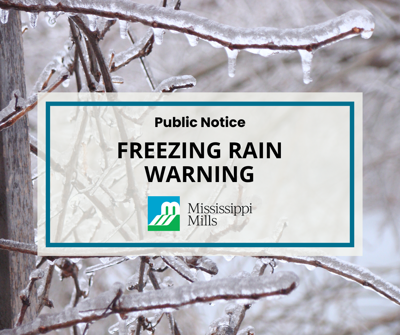 Photo of tree branches coated in ice and the text 'Public Notice - Freezing Rain Warning'