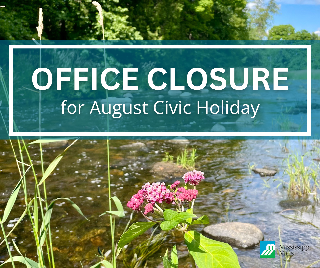 Photo of a flower growing at the side of a stream and the text 'Office Closure for August Civic Holiday'