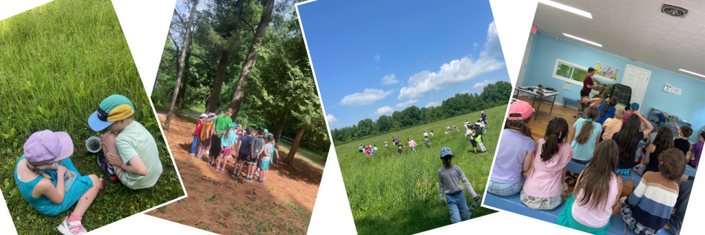 Photo collage showing youth enjoying nature and learning