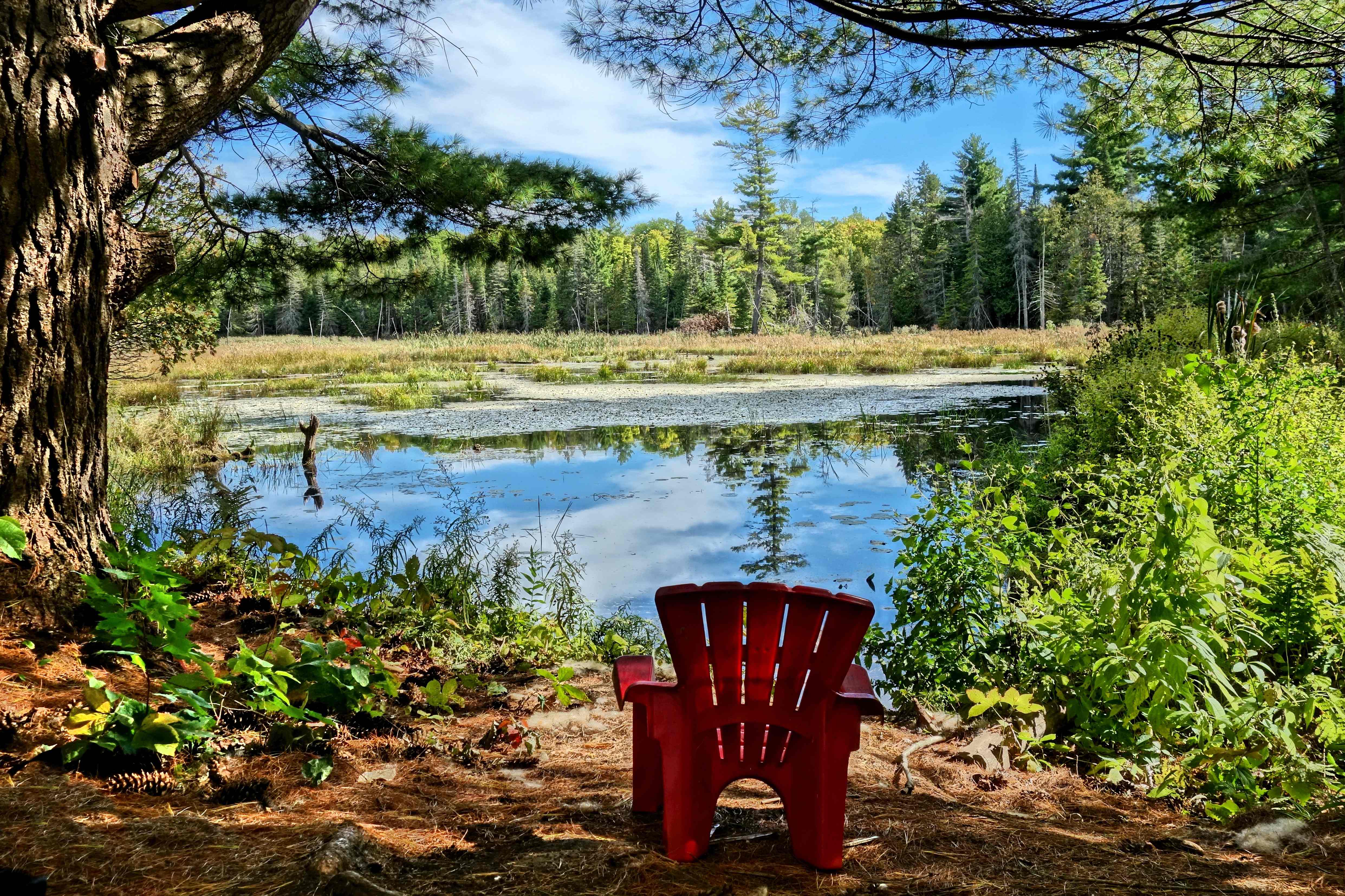 Photo of green landscape by a river with a red Adirondack chair sitting empty at the water's edge