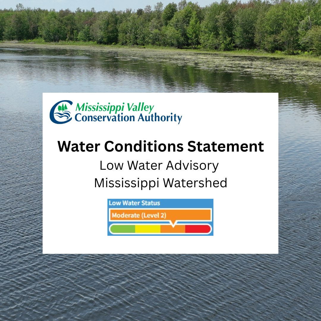 Text reads: Water conditions statement. low water advisory Mississippi Watershed