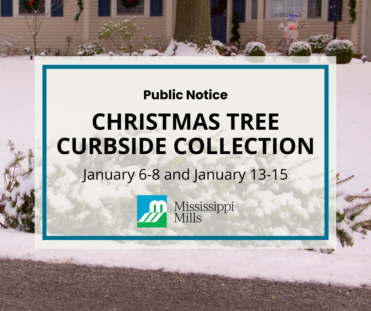 Photo of Christmas tree at the curb in front of a home with snow covering it. Text reads 'Public Notice - Christmas Tree Curbside Collection - January 6-8, January 13-15, 2026'