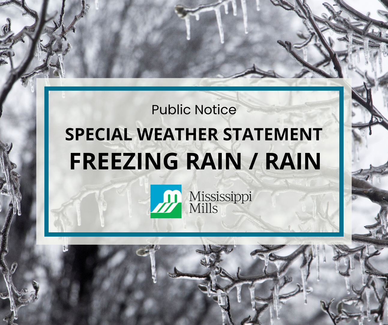 Photo of tree branches coated in ice. Text reads 'Public Notice - Special Weather Statement - Freezing Rain / Rain'