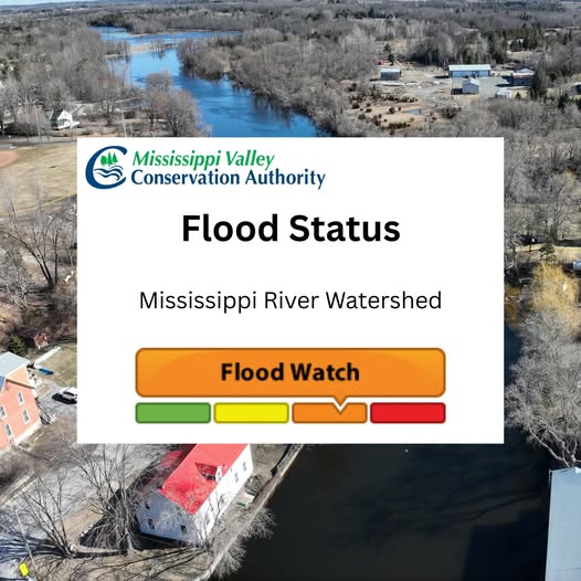Overhead view of a river running through a community. A white box with text reads 'Mississippi Valley Conservation Authority - Flood Status - Mississippi River Watershed.' A graphic with green, yellow, orange and red bars is shown with emphasis on the orange bar 'Flood Watch.'